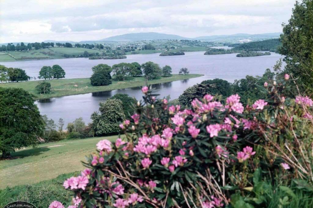 Glenmount Castleblayney Villa Exteriör bild