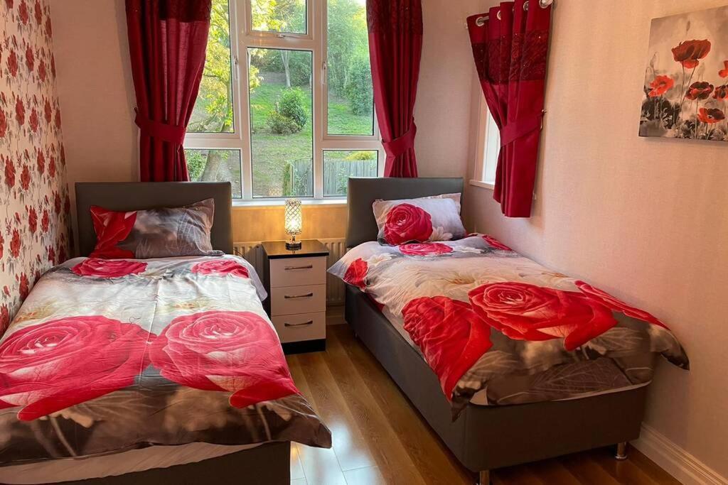 Glenmount Castleblayney Villa Exteriör bild
